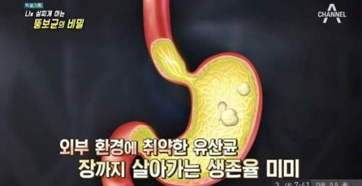 프롤린유산균. /사진=채널A 방송화면 캡처