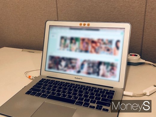12일 접속이 되지 않던 한 사이트가 최근 차단 해제됐다. /사진=박흥순 기자