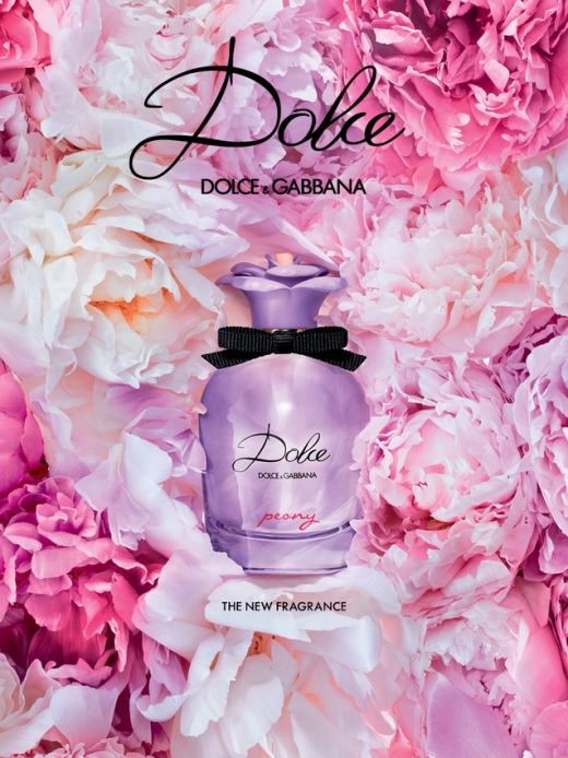 /사진=돌체앤가바나(DOLCE&GABBANA)