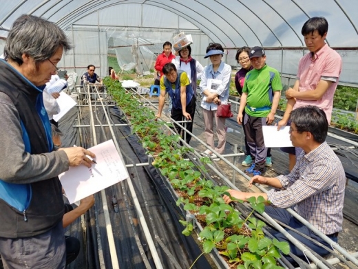 ▲ 수원시농업기술센터 교육 장면. / 사진=수원시농업기술센터 제공
