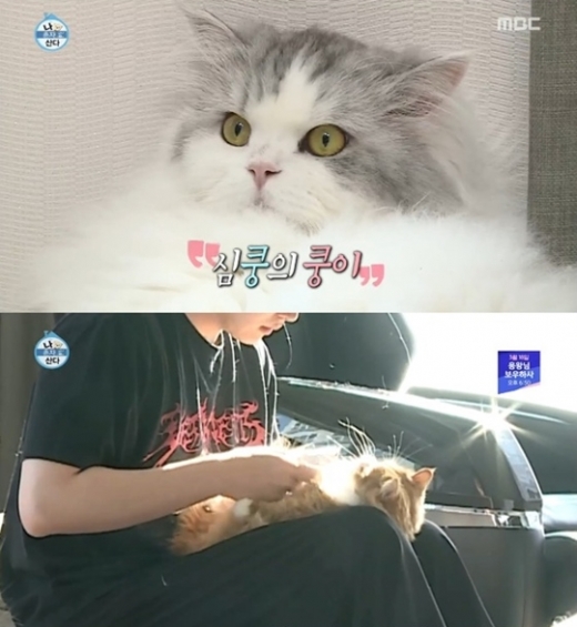 /사진=나혼자산다 방송캡쳐