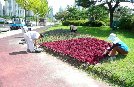 ▲ 안양시는 팬지, 비올라, 데이지, 금잔화 등 봄을 대표하는 식물들로 차량들의 왕래가 많은 비산사거리와 운동장사거리 교통섬에 꽃잔디를 조성한다. / 이하 사진제공=안양시. 