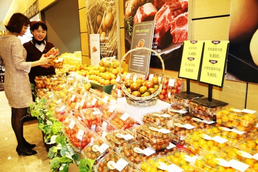 광주신세계, 다양한 색·맛 가득 '토마토 산지 모음전'