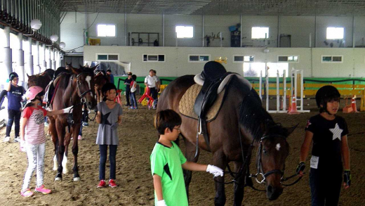 ▲학생승마체험. / 사진=하남시 제공