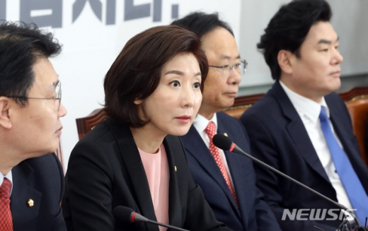 13일 오전 서울 영등포구 여의도 국회에서 열린 자유한국당 원내대표·중진의원 연석회의에서 나경원 원내대표가 발언하고 있다. /사진=뉴시스
