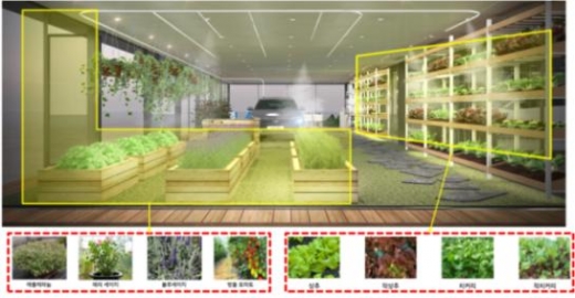 수소차의 전기와 물로 식물을 재배하는 친환경 Live Farm. /사진제공=부산시