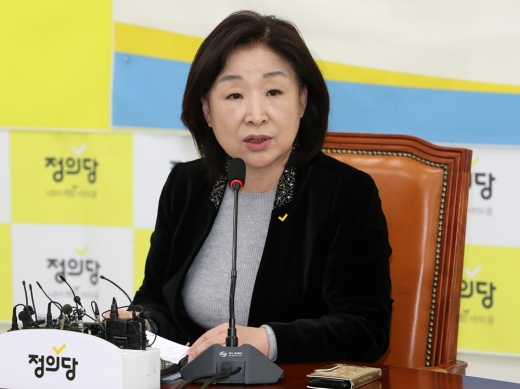 심상정 정치개혁특별위원회 위원장이 15일 서울 여의도 국회에서 기자간담회를 하고 있다. /사진=뉴스1