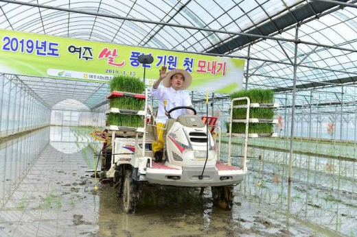 ‘대왕님표 여주쌀’ 첫 모내기 행사. / 사진제공=여주시