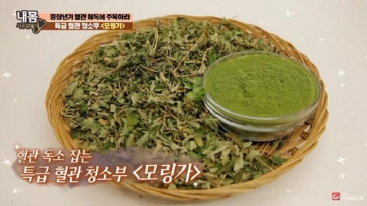 모링가. /사진=TV조선 '내몸사용설명서' 방송캡처