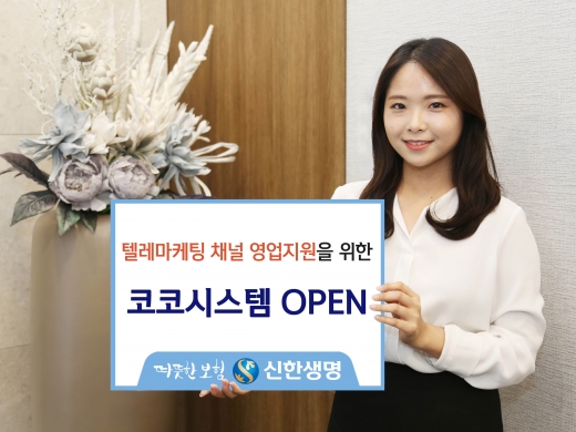 신한생명 코코시스템./사진=신한생명 