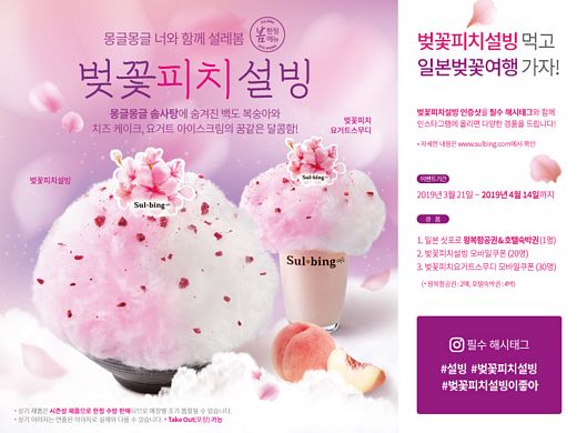/ 설빙 제공 @머니S MNB, 식품 외식 유통 · 프랜차이즈 가맹 & 유망 창업 아이템의 모든 것