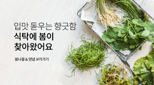 @머니S MNB, 식품 외식 유통 · 프랜차이즈 가맹 & 유망 창업 아이템의 모든 것