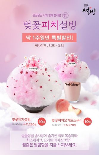/ 설빙 제공 @머니S MNB, 식품 외식 유통 · 프랜차이즈 가맹 & 유망 창업 아이템의 모든 것
