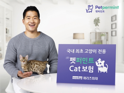 메리츠화재 고양이보험./사진=메리츠화재 제공