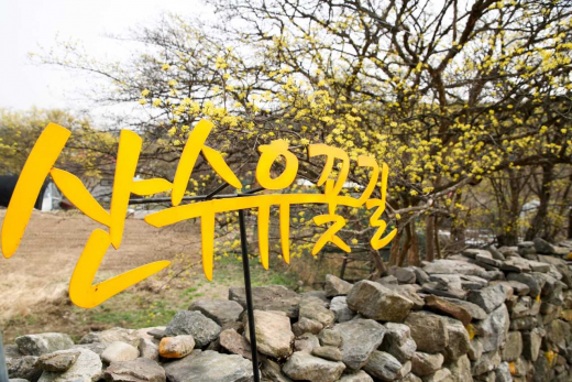 이천 백사산수유축제가 열리는 백사면 일대. / 사진제공=이천시