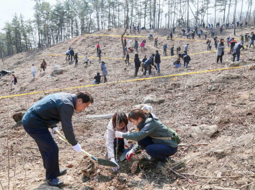 용인시가 지난 29일 처인구 원삼면 좌항리 3·1운동 기념탑 일대에 무궁화 나무를 심었다. /사진=용인시