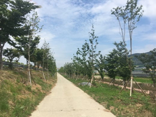 김해시가 장유 후포-수가간 도로변에 조성된 3만2000㎡의 도시숲. /사진제공=김해시