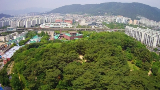 김해시가 기후변화에 대응해 100만그루 나무심기 운동을 추진한다. /사진제공=김해시