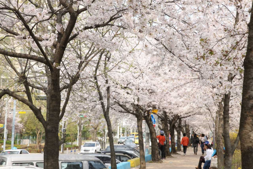 / 사진제공=안양시