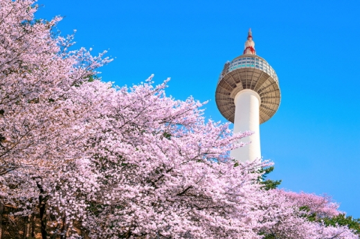 /사진=트립닷컴