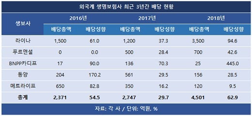 '회계기준 변경' 나몰라라… 배당 늘린 외국계 생보사