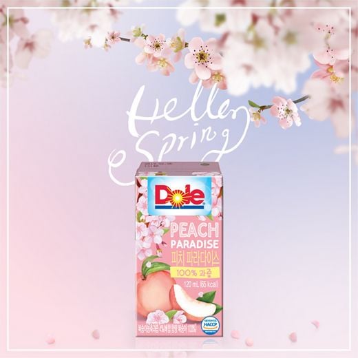 / 돌코리아 제공