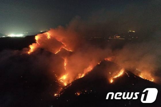 해운대 산불. /사진=뉴스1(남부지방산림청 제공)