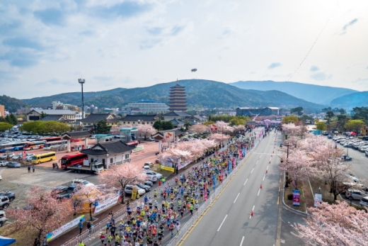 2018 경주벚꽃마라톤대회. /사진=한국관광공사