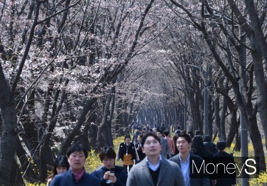 [머니S포토] 포근한 봄 날씨에 흥겨운 양재천