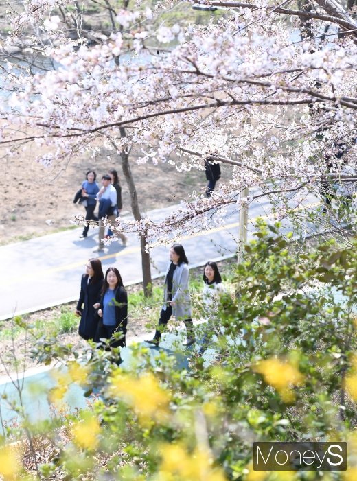 [머니S포토] '봄내음 가득'
