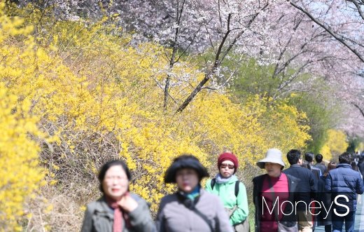 [머니S포토] '봄봄봄 봄이 왔어요'