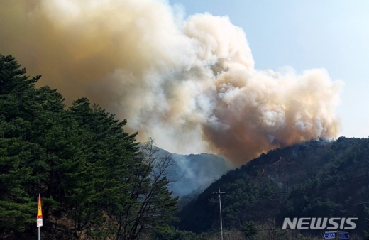 인제 산불. /사진=뉴시스(강원도 소방본부 제공)