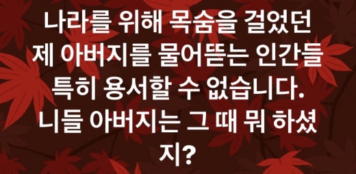 손혜원 의원이 부친의 독립유공자 선정과 관련한 잇따른 특혜 의혹 제기에 거칠게 반응했다. /사진=손혜원 의원 페이스북 캡처