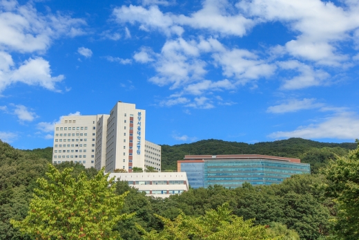 분당서울대병원이 기획재정부 주관 고객만족도 조사에서 단일병원으로 가장 높은 평가를 받았다. /사진=분당서울대병원