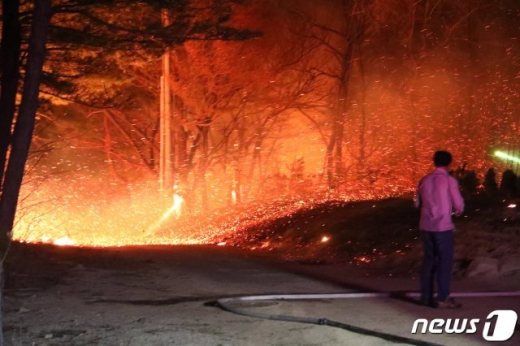 이번 산불은 강릉 옥계서 동해 망상까지 번졌다. / 사진=뉴스1