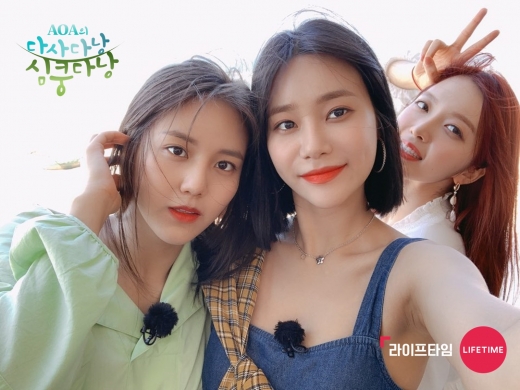©라이프타임