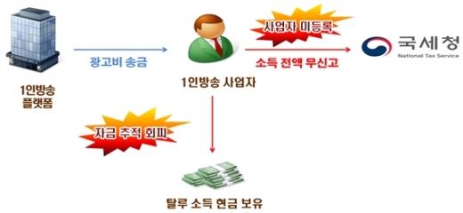 연예인 세무조사. 국세청. 고소득 유튜버. 운동선수. 세무조사. /사진=국세청