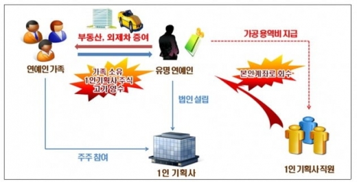 1인기획사 설립 연예인 탈세 과정. /사진=국세청