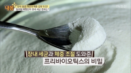 프로바이오틱스. 유산균. 유익균. /사진=TV조선 내몸플러스 방송화면 캡처
