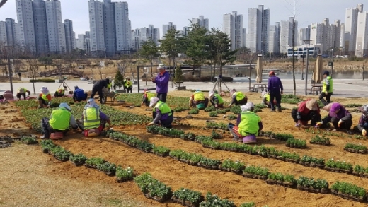 김포시가 김포한강신도시를 중심으로 최고의 명품 공원 만들기에 전력을 다하고 있다./사진제공=김포시