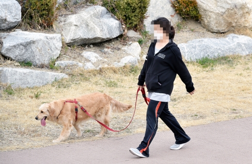 반려견과 산책 중인 한 개주인. /사진=뉴시스 우종록 기자