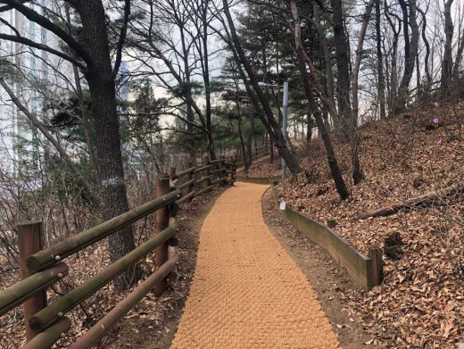 용인 근린공원. /사진제공=용인시