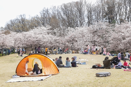 사진제공=의왕시