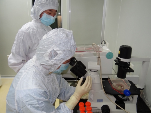 메디포스트 연구팀이 줄기세포를 이용한 폐질환치료제를 개발하고 있다./ 사진=메디포스트