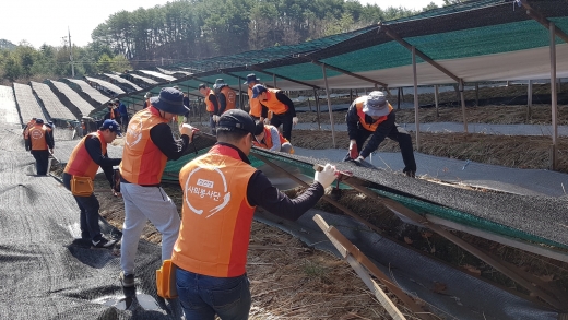 /사진제공=KGC인삼공사