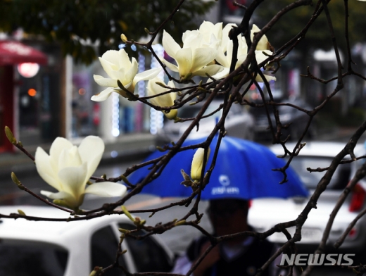 내일날씨. /사진=뉴시스