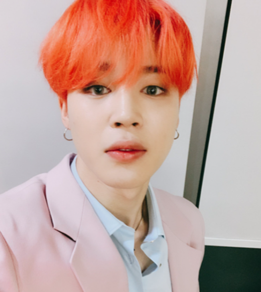 지민./사진=방탄소년단 트위터