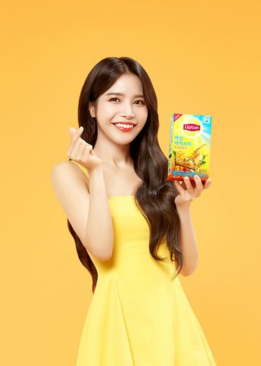 립톤 제공