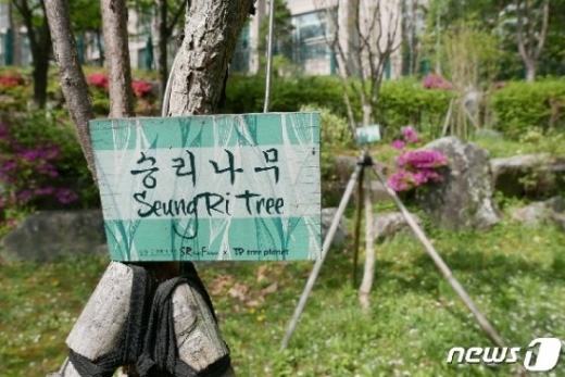 '버닝썬' 승리숲. /사진=뉴스1