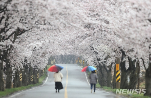 내일날씨. 내일(24일)은 전국이 흐리고 비가 내리는 가운데 오전에 대부분 그치겠다. /사진=뉴시스